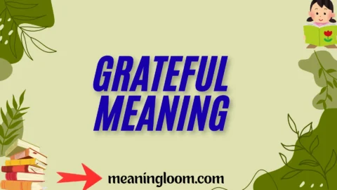 grateful meaning