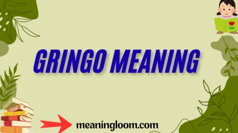 gringo meaning