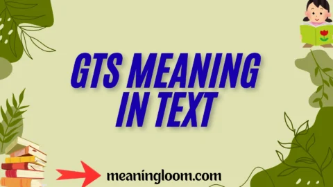 gts meaning in text