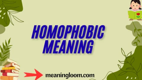 homophobic meaning