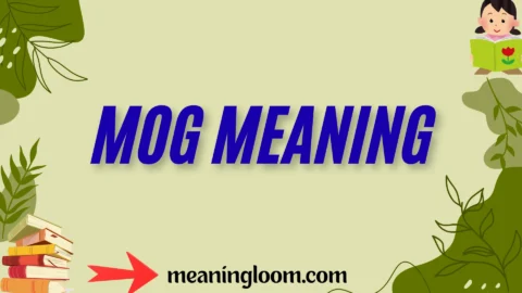 mog meaning