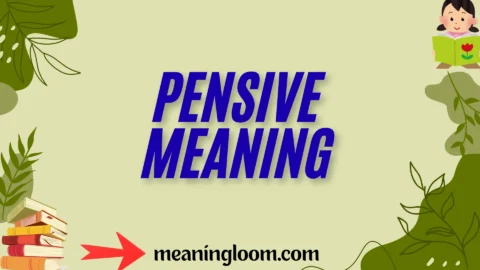 pensive meaning