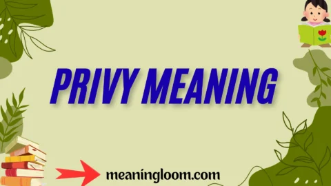 privy meaning