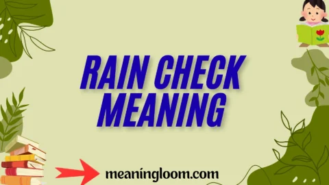 rain check meaning
