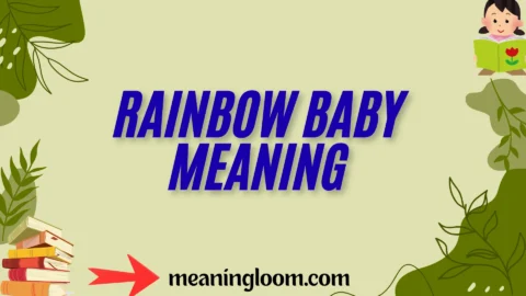 rainbow baby meaning