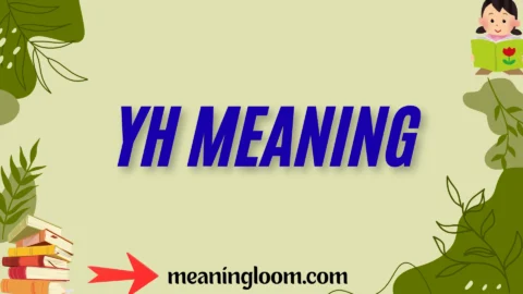yh meaning