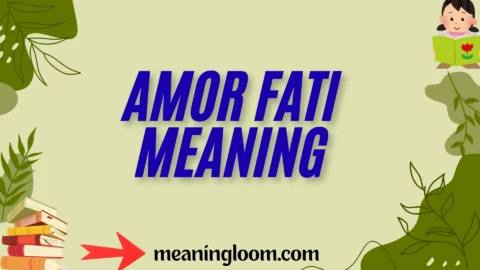 amor fati meaning
