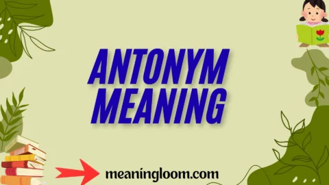antonym meaning