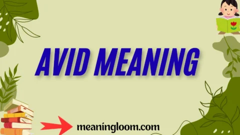 avid meaning
