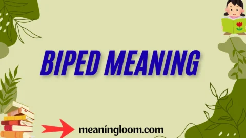 biped meaning