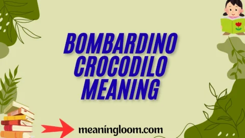 bombardino crocodilo meaning