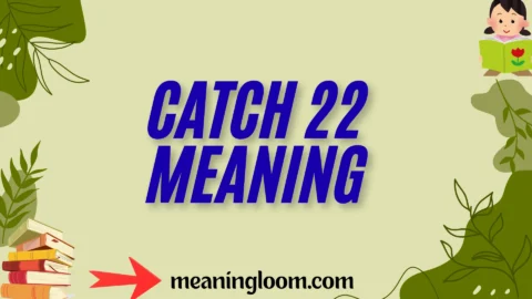catch 22 meaning