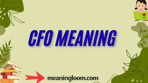 cfo meaning