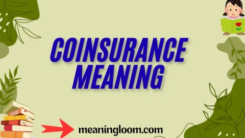 coinsurance meaning