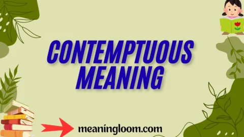 contemptuous meaning