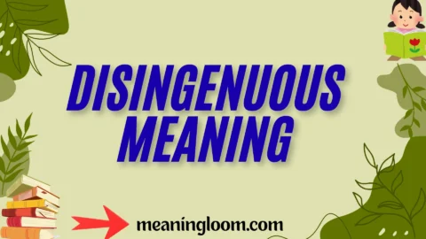 disingenuous meaning