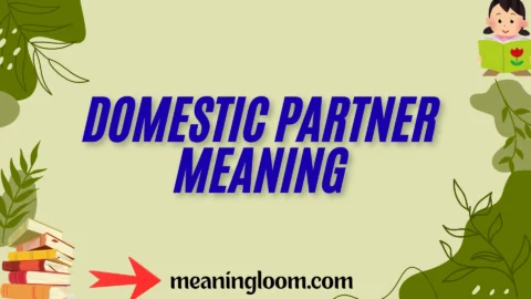 domestic partner meaning