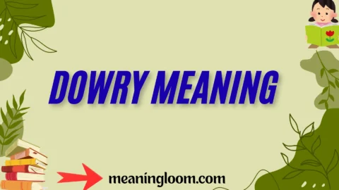 dowry meaning