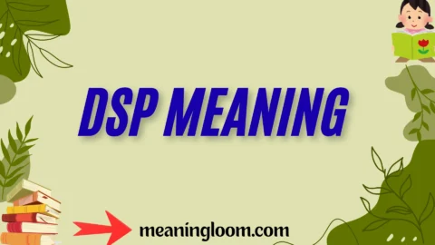 dsp meaning