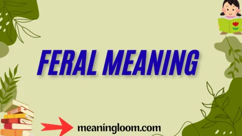 feral meaning