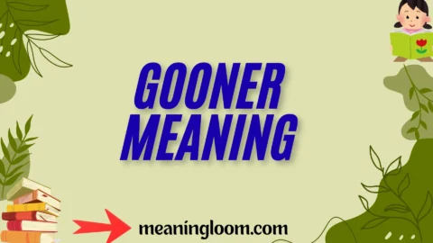 gooner meaning