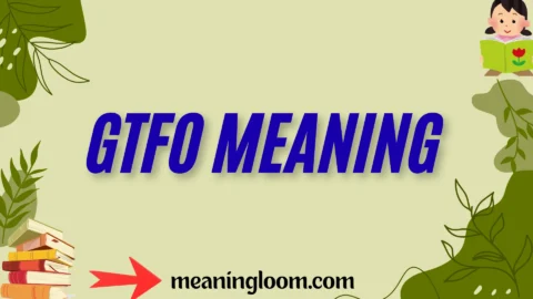 gtfo meaning