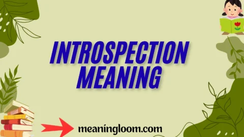 introspection meaning