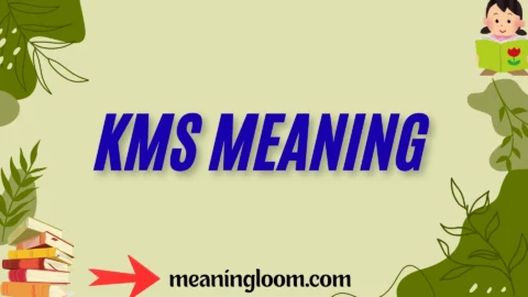 kms meaning