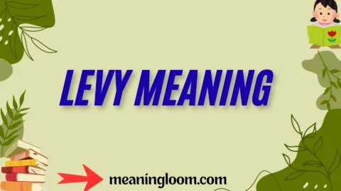 levy meaning