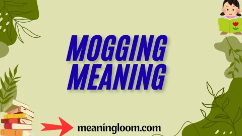 mogging meaning