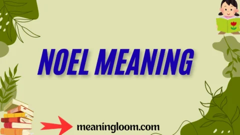noel meaning