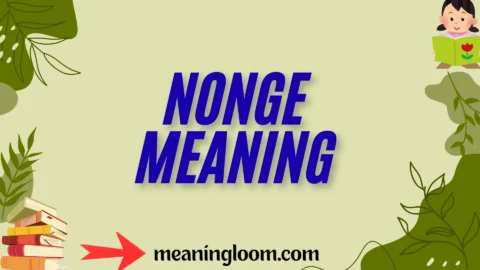 nonge meaning