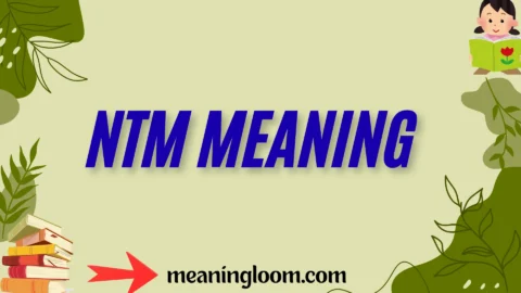 ntm meaning