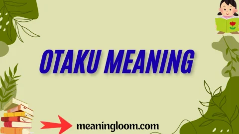 otaku meaning