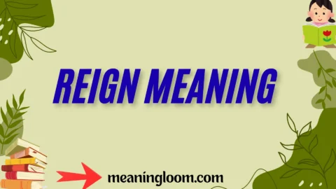 reign meaning