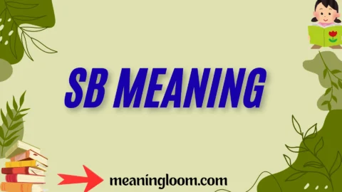 sb meaning