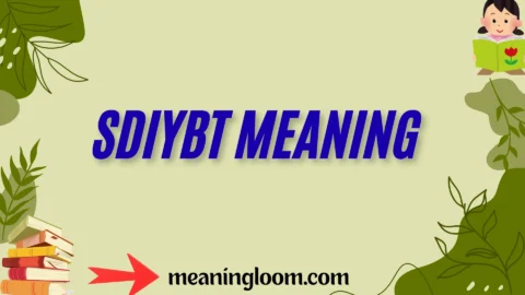 sdiybt meaning