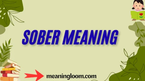 sober meaning