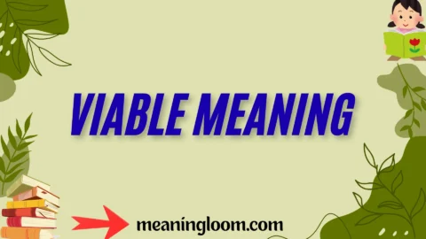 viable meaning