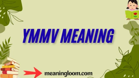 ymmv meaning