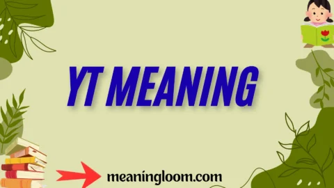yt meaning