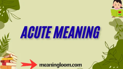 acute meaning