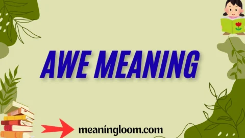 awe meaning