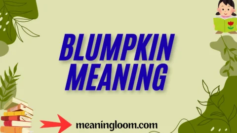 blumpkin meaning