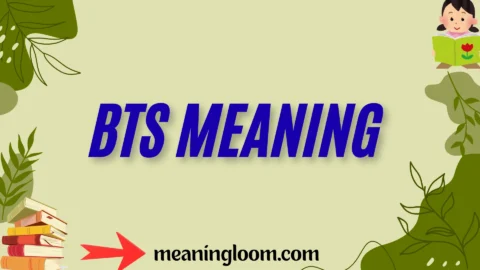 bts meaning