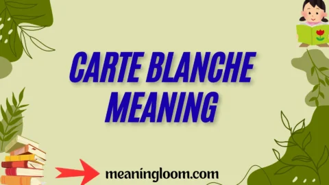carte blanche meaning