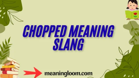 chopped meaning slang