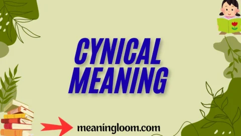 cynical meaning