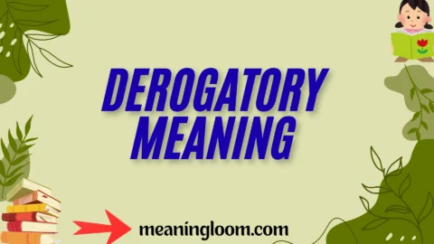 derogatory meaning