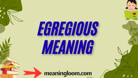 egregious meaning